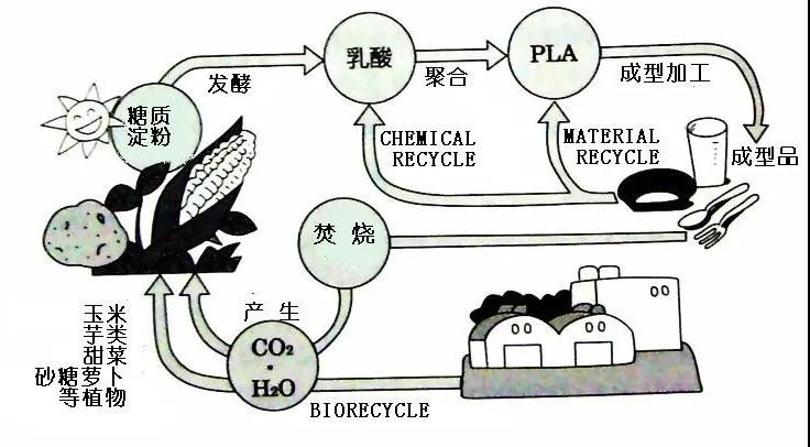 可生物降解環(huán)保塑料可以回收再利用嗎？(圖4)